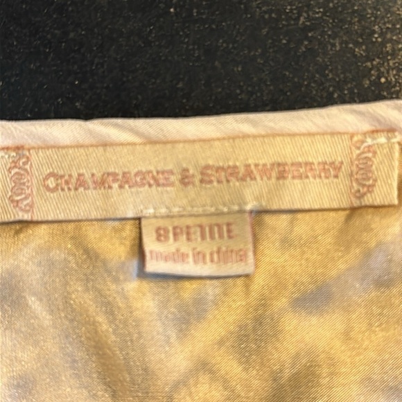 Champagne & Strawberry Sleeveless V Neck 3D Blush and Lace Statement Dress S/8P - Picture 10 of 14